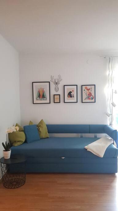 רמסאו אם דכשטיין Apartment Tauernblick מראה חיצוני תמונה